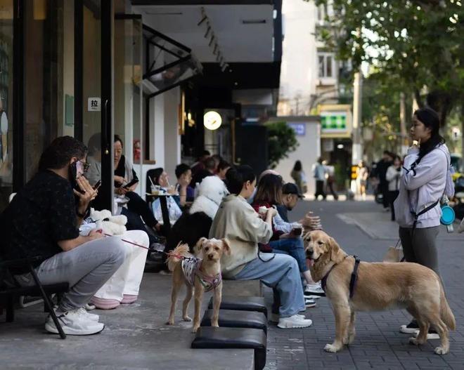 了双11爱上了“老年严选”AG真人这届脆皮年轻人抛弃(图15)